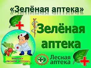 Экологический проект «Зеленая аптека» для детей подготовительной к школе группы.
