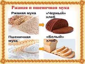 Конспект образовательной деятельности «Растут ли булки на деревьях?»