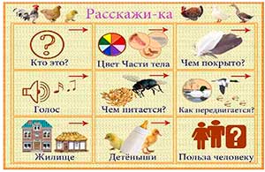 Методическая разработка образовательной деятельности по речевому развитию для детей 6-7 лет с нарушениями речи.
