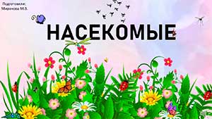 Презентация «Насекомые»