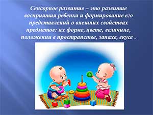 «Сенсорное развития детей младшего дошкольного возраста посредством дидактических игр»
