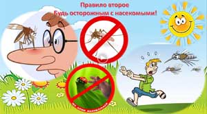 Презентация по ОБЖ для детей старшей и подготовительной группы на тему: «Моё безопасное лето»
