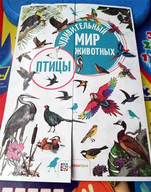 Развивающие лепбуки