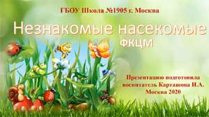 Презентация к занятию по формированию целостной картины мира во второй младшей группе «Незнакомые насекомые»