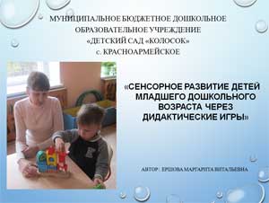«Сенсорное развитие детей младшего дошкольного возраста через дидактические игры»