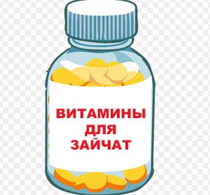 Занятие с пластилином в первой младшей группе на тему: «Витамины для зайчат»