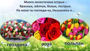 Видео-презентация для детей старшей и подготовительной группы на тему: «Загадки о цветах»