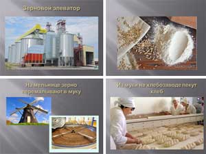 Конспект организованной образовательной деятельности по познавательному развитию на тему «Как хлеб к нам на стол пришёл»