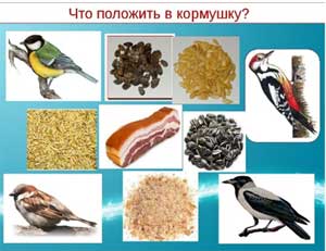 Конспект итогового занятия по теме недели «Зимующие птицы» в подготовительной группе.