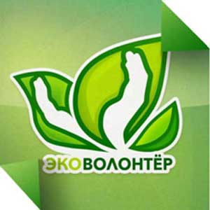 Отчет о работе детского сада «Родничок» в номинации «Эковолонтеры поселка»