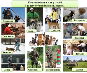 Педагогический проект «Животные и я — партнёры и друзья!»
