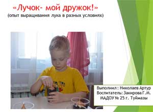 «Лучок — мой дружок!» (опыт выращивания лука в разных условиях)