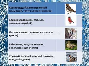 Название работы «Перелетные и зимующие птицы»