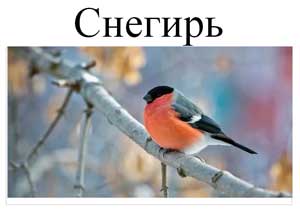 Конспект организованной образовательной деятельности с детьми младшего возраста по физической культуре Тема: «Воробьи, синички, снегири и другие птички».
