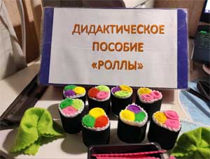 Дидактическое пособие по познавательному развитию детей старшего дошкольного возраста «Роллы»