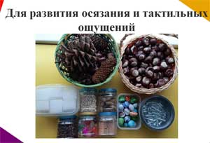 Сенсорное развитие детей младшего дошкольного возраста