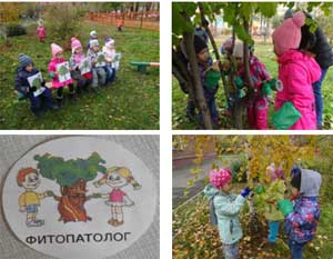 Конспект экологической прогулки «Мы — фитопатологи»