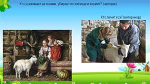 Презентация «Домашние животные»
