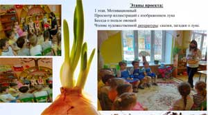 Проект «Лук – зеленый друг»