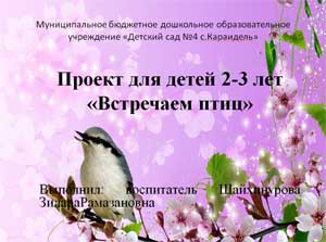 Проект для детей 2-3 лет «Встречаем птиц»