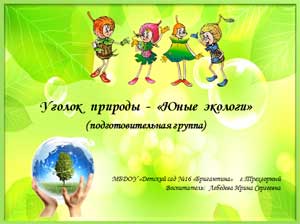 Описание презентации уголка природы – «Юные экологи»