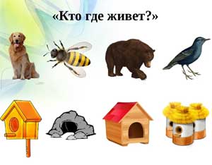 Конспект НОД по ознакомлению с окружающим в старшей группе «Кто, где живёт?»