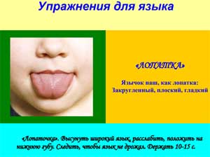 Папка—передвижка «Артикуляторная гимнастика»