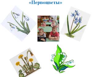 Конспект НОД в старшей логопедической группе «Первоцветы»