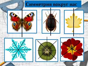 Детско-взрослый проект по познавательному развитию «Симметрия вокруг нас» для старшего дошкольного возраста.
