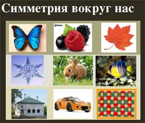 Детско-взрослый проект по познавательному развитию «Симметрия вокруг нас» для старшего дошкольного возраста.