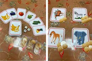 Игра для детей 5-7 лет «Купи животных для зоопарка»