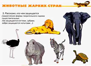 НОД по ознакомлению с окружающим миром в младшей группе «Животные жарких стран — Африка».