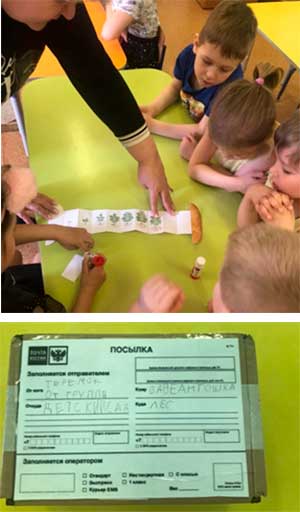 Конспект занятие по исследовательской деятельности в подготовительной группе с использованием технологии деятельного подхода «Ситуация» «Посылка картошки, для бабушки Антошки»