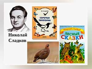 ООД по развитию речи в старшей группе на тему: Пересказ «загадочных историй» (по Н.И. Сладкову)