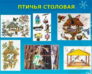 Проект «Птичья столовая»
