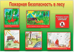 Занятие по ОБЖ «Безопасность в природе» во второй младшей группе