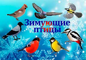 Конспект образовательной деятельности по познавательному развитию для детей младшего дошкольного возраста «Зимующие птицы родного края»