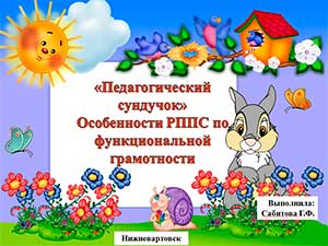Особенности РППС по функциональной грамотности «Педагогический сундучок»
