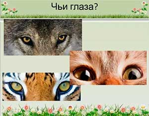 Авторская дидактическая игра «Узнай животное по глазам».