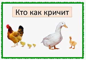Конспект организованной образовательной деятельности по развитию речи во второй младшей группе «Кто как кричит»