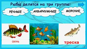 Конспект занятия по познавательному развитию (мир природы) в подготовительной группе «Что мы знаем о рыбах?» (с использованием элементов моделирования)