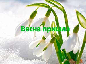 Конспект НОД с детьми первой младшей группы «Весна пришла».