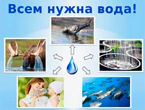Конспект занятия в подготовительной группе «Чистая вода – всем нужна»