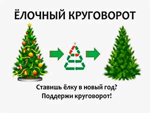 Конспект занятия по познавательно-исследовательской деятельности «Куда деваются ёлки после Нового года» для детей старшего дошкольного возраста