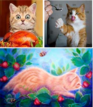 Стихи из сборника для детей «Давай знакомиться» (про котят) (Литературное Объединение «Забой» Им. А. Лебединского, Руководитель Бондаренко Любовь Михайловна,