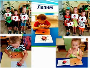 Проект «Удивительный мир насекомых»