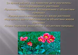 Видеоролик проектной деятельности «От луковицы — к цветку»