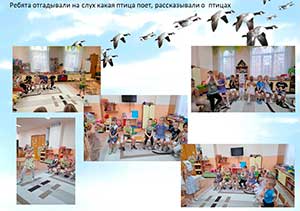 Перелетные птицы