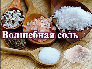 Итоговое занятие по программе дополнительного образования «Удивительное рядом. Соль-волшебница.»