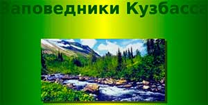 Конспект непосредственной образовательной деятельности в старшей группе «Заповедники Кузбасса»
